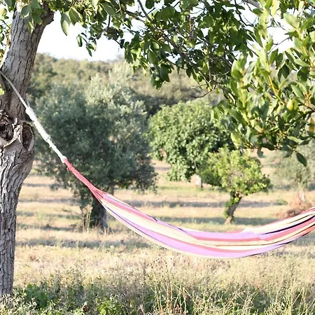 The Little Olive Quinta Holiday home